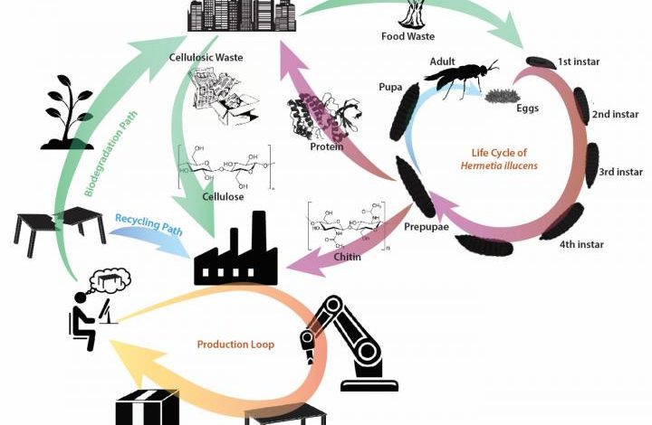 You are currently viewing SUTD targets localized circular economy for green 3D printing materials (3DPMN)