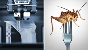 Read more about the article 3D printing insects mixed with vegetables could help us to prevent food crisis (interestingengineering.com)
